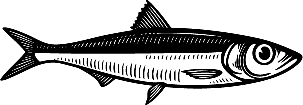 Ilustración de una sardina en blanco y negro