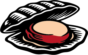 Ilustración de una vieira abierta